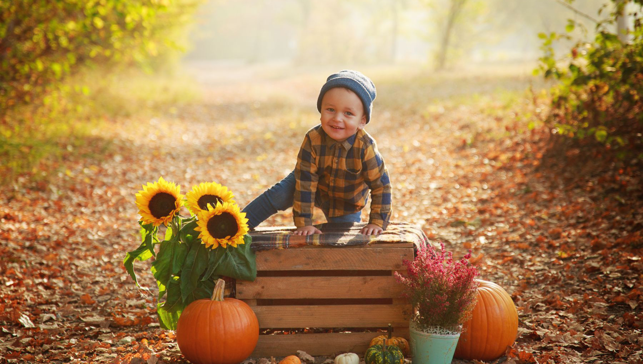 Herbstfoto